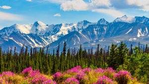 Yukon – temperatura, klimat i pogoda przez cały rok