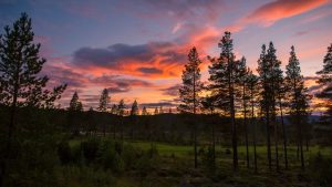 Nesbyen – temperatura, klimat i pogoda przez cały rok