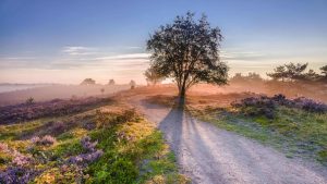 Veluwe – temperatura, klimat i pogoda przez cały rok