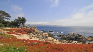 Pebble Beach – temperatura, klimat i pogoda przez cały rok