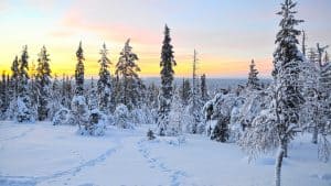 Kittilä – temperatura, klimat i pogoda przez cały rok