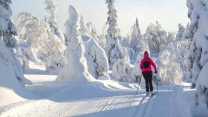 Pogoda w Kuusamo w czerwiec 2025