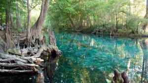 Ocala – temperatura, klimat i pogoda przez cały rok