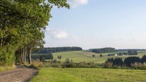 Pogoda w Vlaamse Ardennen w czerwiec 2025
