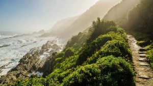Garden Route National Park – temperatura, klimat i pogoda przez cały rok
