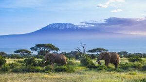 Pogoda w Kilimanjaro National Park w październik 2025