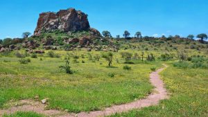 Mapungubwe National Park – temperatura, klimat i pogoda przez cały rok