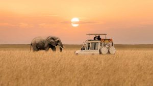 Masai Mara National Reserve – temperatura, klimat i pogoda przez cały rok