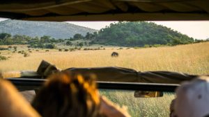 Pilanesberg National Park – temperatura, klimat i pogoda przez cały rok