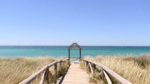 El Palmar – temperatura, klimat i pogoda przez cały rok