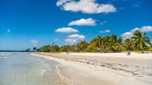 Playa Larga – temperatura, klimat i pogoda przez cały rok