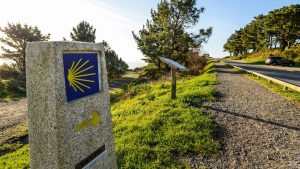 Camino – temperatura, klimat i pogoda przez cały rok