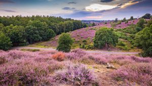 Geldria – temperatura, klimat i pogoda przez cały rok