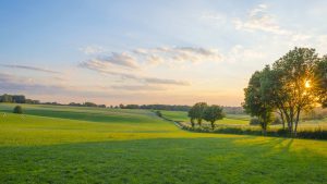 Limburgia – temperatura, klimat i pogoda przez cały rok